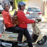 © Scooter Nomad - Balades à scooter (électrique ou classique) et Mobylette - <em>scoot nomad</em>