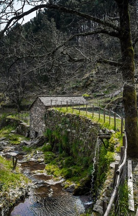 Marceau mill hiking trail