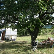 © Aire Naturelle de Camping les Cerisiers - <em>Loire</em>