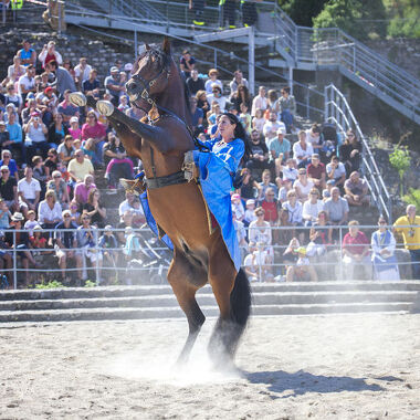 © Vienne History Festival - <em>Daniel DURAND</em>