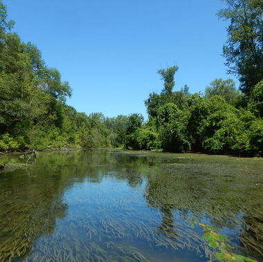 © The Goat Island - <em>Ile du Beurre</em>