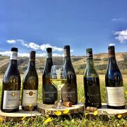 Les Vins de Vienne