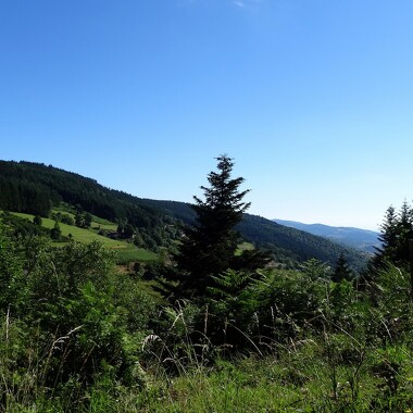 © Motorbike trip towards the Taillard forest - <em>Alain Bellon</em>