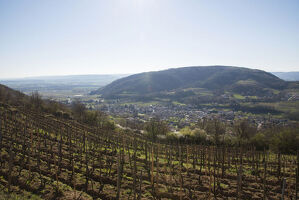 Gourmet trip along the River Rhone