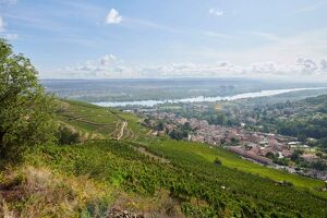 Cellar tours and tastings at Domaine Verzier