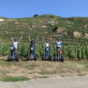 © Vineyard and nature tours on a segway Fascinating weekend - <em>dr</em>