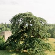 © Château de Lemps - <em>Château de Lemps</em>