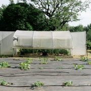 © Château de Lemps - <em>Château de Lemps</em>