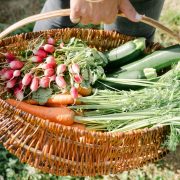© Château de Lemps - <em>Château de Lemps</em>