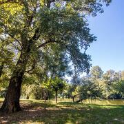 © Camping-car service area at the Cros d'Auzon campsite - <em>Domaine du Cros d'Auzon</em>