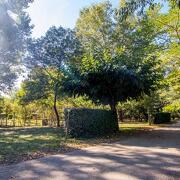 © Camping-car service area at the Cros d'Auzon campsite - <em>Domaine du Cros d'Auzon</em>