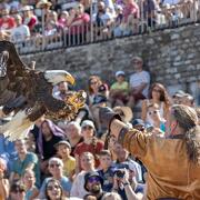 © Vienne History Festival - <em>Cédric Trémélo Photographe</em>