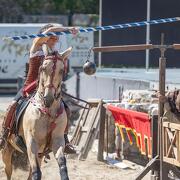 © Vienne History Festival - <em>Cédric Trémélo Photographe</em>