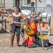 © Vienne History Festival - <em>Cédric Trémélo Photographe</em>