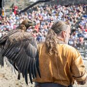 © Vienne History Festival - <em>Cédric Trémélo Photographe</em>