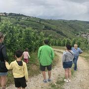 © Mr Probus Vienne Wine tourism guide - <em>Denis LARDIN</em>