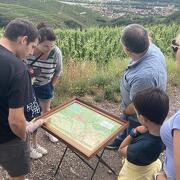 © Mr Probus Vienne Wine tourism guide - <em>Denis LARDIN</em>