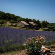 © Le frêne - Village de gîtes Le Serre de Pierre - <em>Gîtes de France</em>