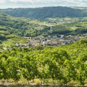 © Cellar tours and tastings at Domaine François Grenier - <em>Agence StoryWine</em>