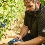 © Cellar tours and tastings at Domaine François Grenier - <em>Agence StoryWine</em>