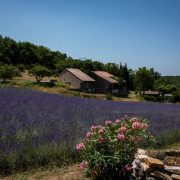 © L'érable - Village de gîtes Le Serre de Pierre - <em>Gîtes de France</em>