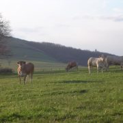 © Chez Odile et Georges - <em>Gîtes de France</em>