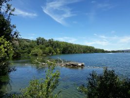 Butter Island