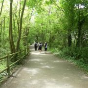 © Butter Island - <em>Centre d'observation de la nature de l'Ile du Beurre</em>