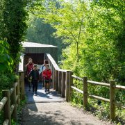 © Île du Beurre nature observation centre_Tupin-et-Semons - <em>InstapadesStudio</em>