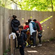 © Île du Beurre nature observation centre_Tupin-et-Semons - <em>InstapadesStudio</em>