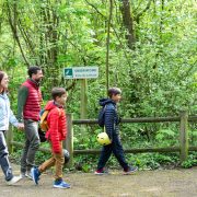 © Île du Beurre nature observation centre_Tupin-et-Semons - <em>InstapadesStudio</em>