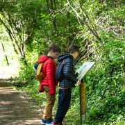 © Île du Beurre nature observation centre_Tupin-et-Semons - <em>InstapadesStudio</em>