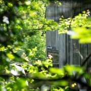 © Île du Beurre nature observation centre_Tupin-et-Semons - <em>InstapadesStudio</em>