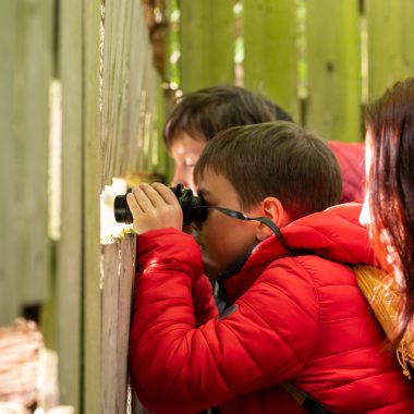 © Île du Beurre nature observation centre_Tupin-et-Semons - <em>InstapadesStudio</em>