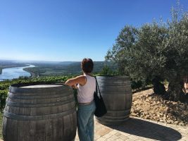 Northern Rhône Valley excursion : Syrah and Viognier with Rhône Trip