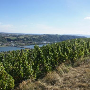 © Maison Clusel-Roch - <em>CLUSEL-ROCH</em>