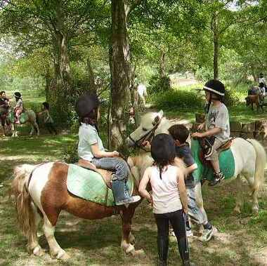 Vienne Le Couzon Riding Centre