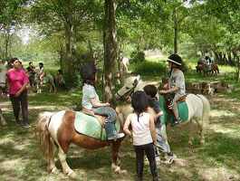 Vienne Le Couzon Riding Centre
