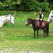 Vienne Le Couzon Riding Centre