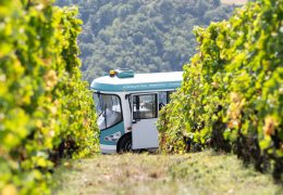Côte-Rôtie Tour
