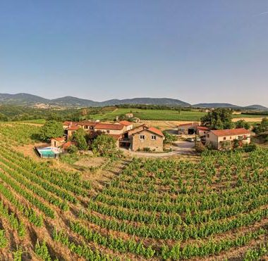 Wine Notes at Domaine Verzier