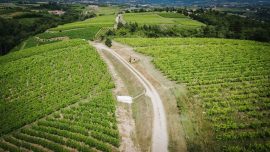 Rando Wine at Domaine Anthony Paret