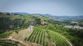 Brunch Vigneron at Domaine Anthony Paret