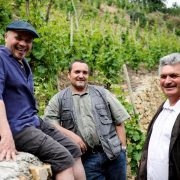 Wine Notes at Judy's with les Vins de Vienne_Pélussin