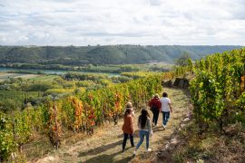Rando Wine at Domaine Clusel-Roch