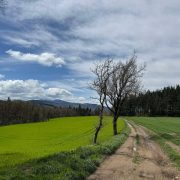 © Mont Monnet and Rigotte de Condrieu - Pilat Rhodanien - Longes_Longes - <em>Julie lfr Rhône Tourisme</em>