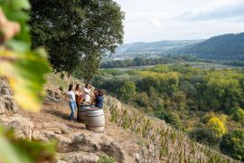 Apéros Vignes at Domaine de Corps de Loup