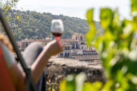 Apéros Vignes at Maison Colombier