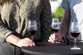 Wine Notes at Domaine Barge