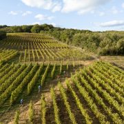 © Côte-Rôtie Trail_Ampuis - <em>Instapades Studio</em>